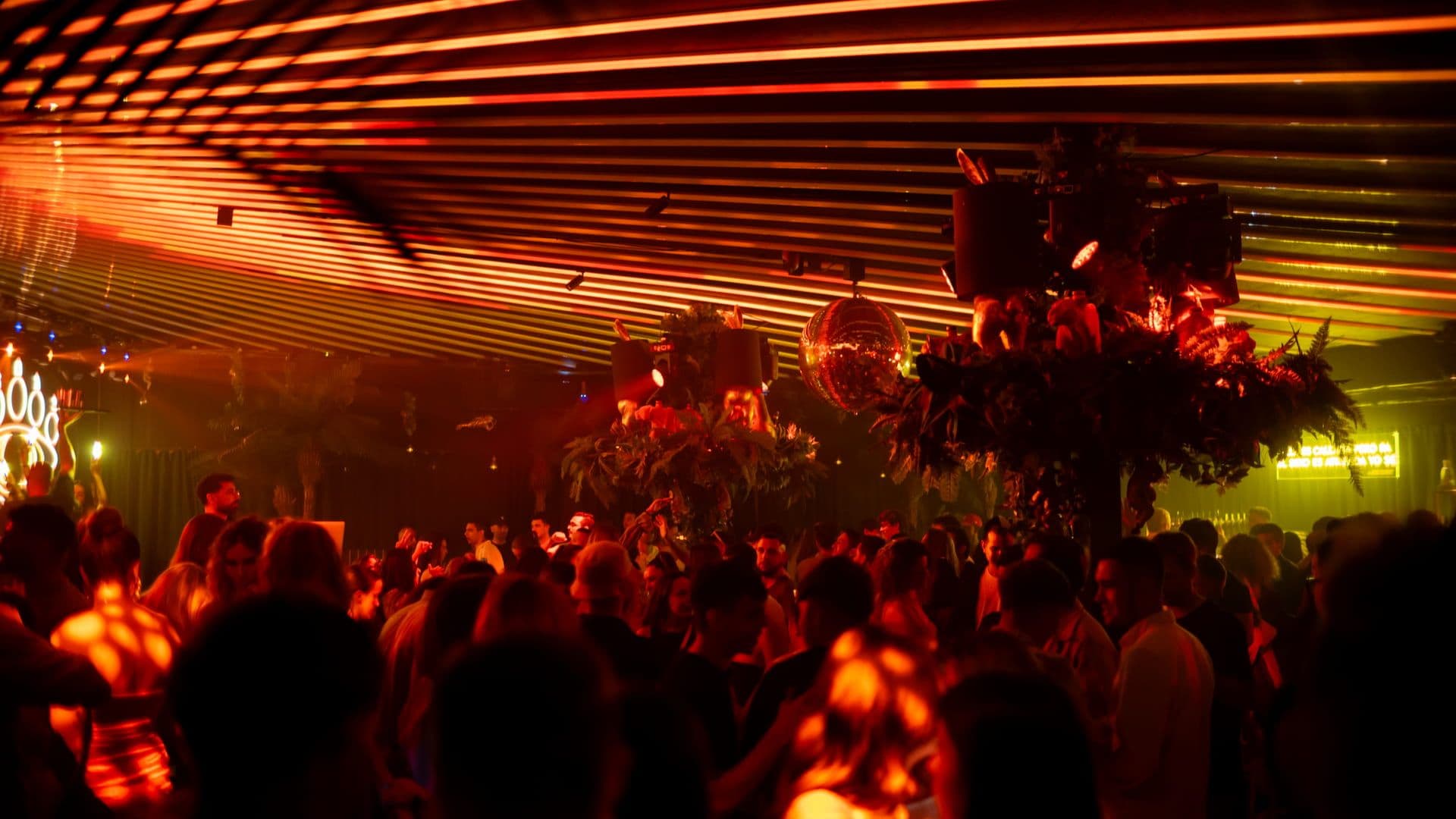 Baloo Ibiza