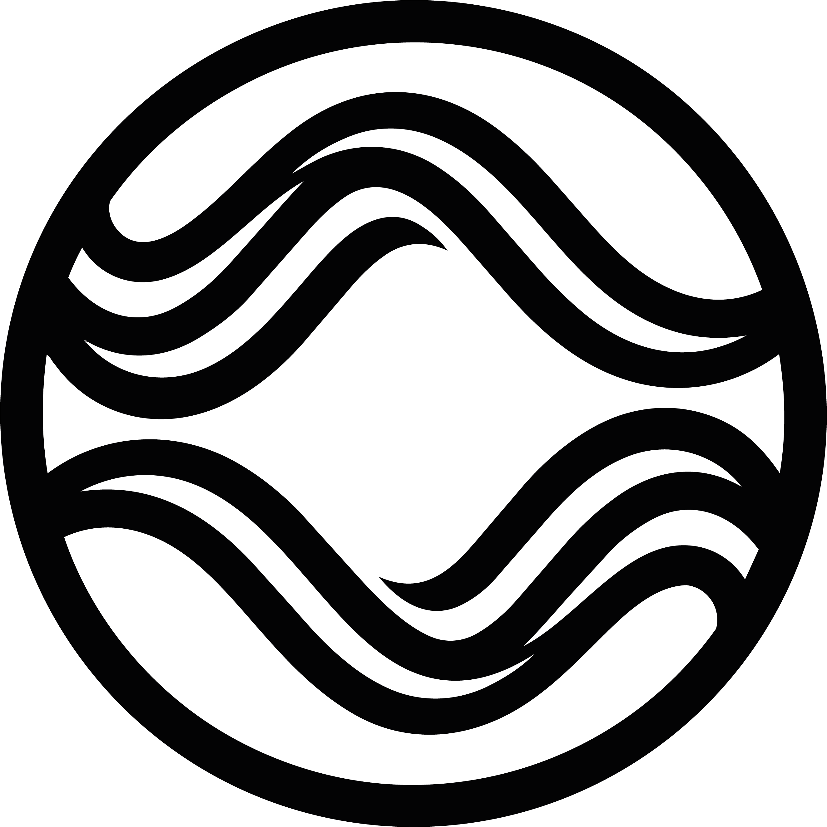 IBZMV